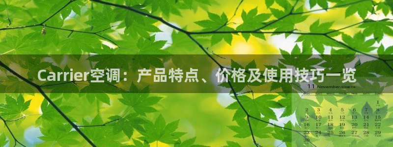 环球360手机版登录网址下载