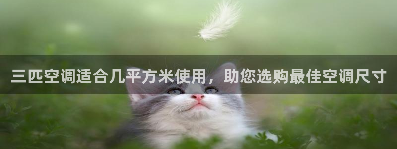 环球360网址是多少