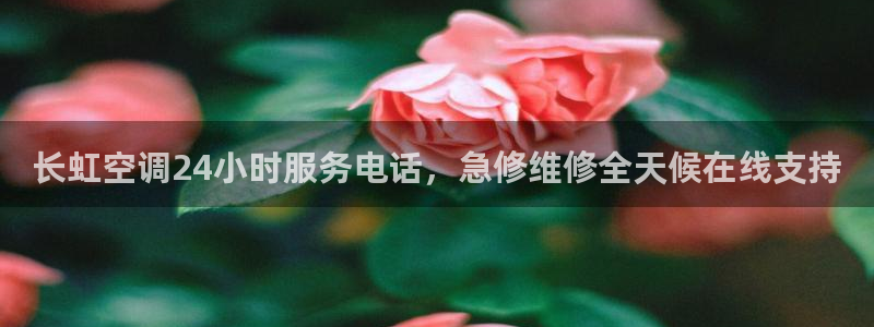 环球360漏洞