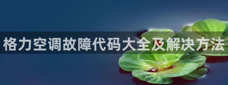 环球360正网注册