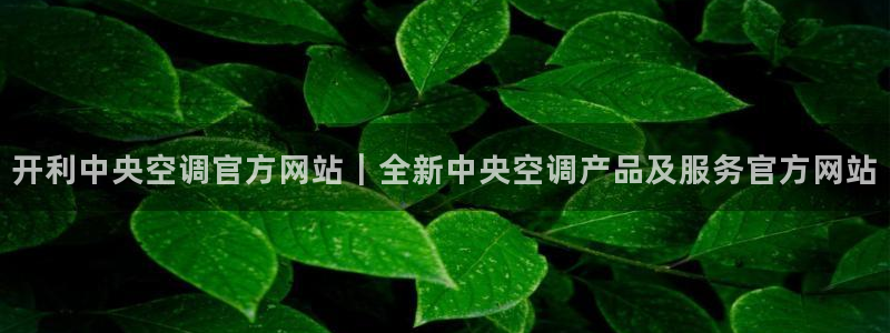 环球360官网手机版下载地址查询