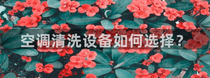 环球360官网会员注册不了怎么回事