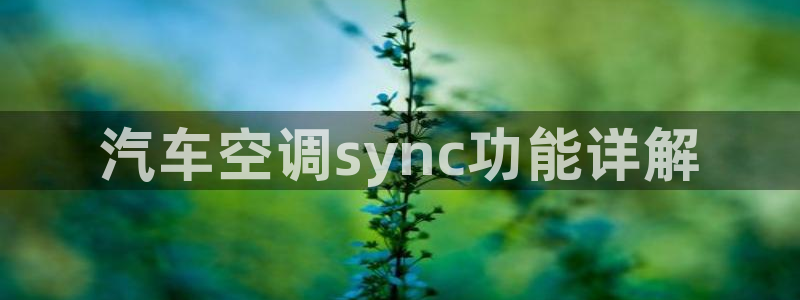 环球360是干嘛的