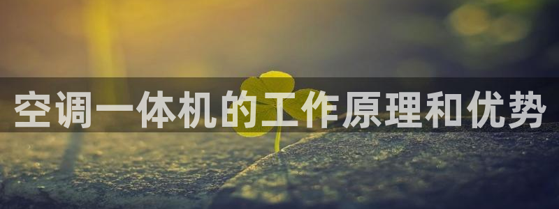 环球360代理网