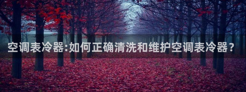 环球360网站最新官网地址