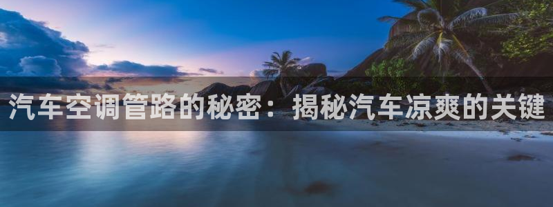 环球360官网会员注册不了怎么办