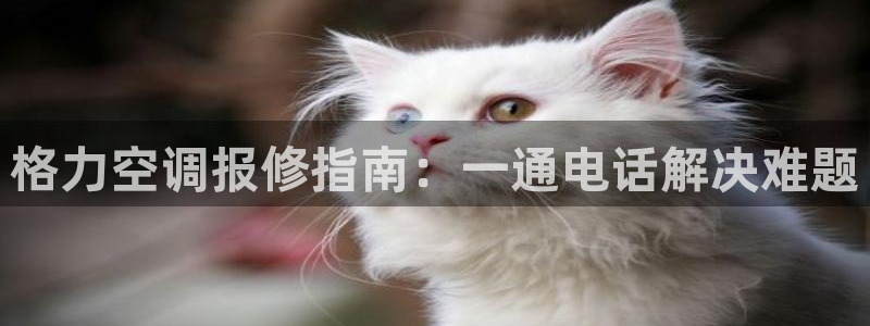 环球360游戏网站官网