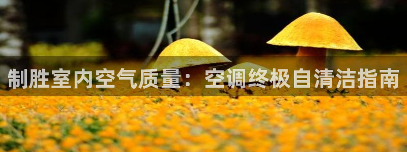 环球360真假菲利宾