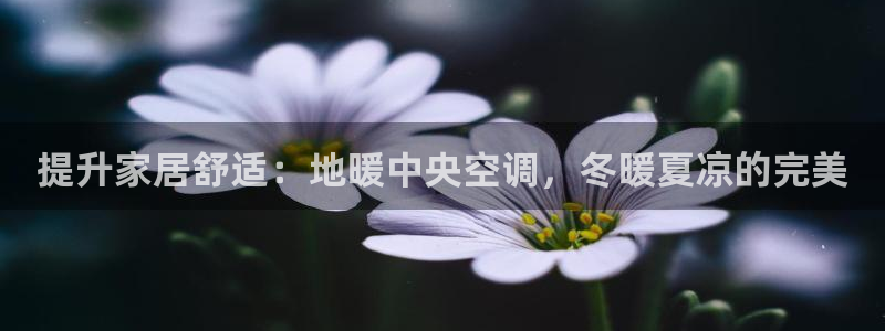 菲律宾环球360娱乐有限公司