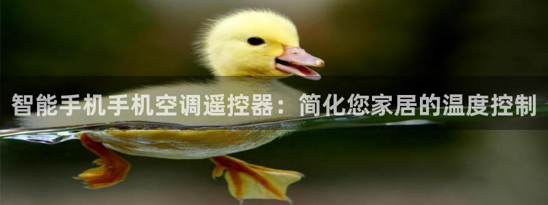 360环球国际