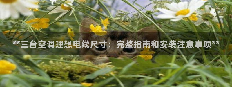 环球360会员登录入口在哪里