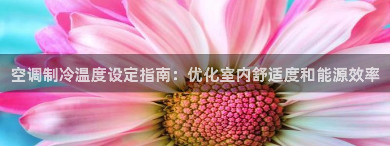 环球360假线一比一