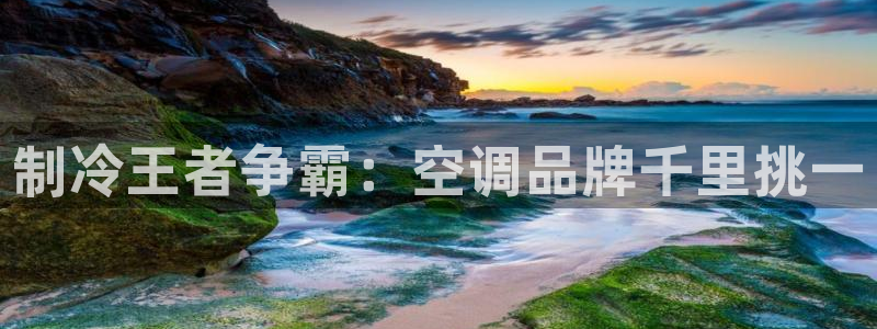 环球360mt369:CC