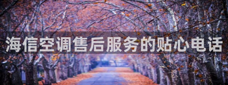 环球360能不能作假