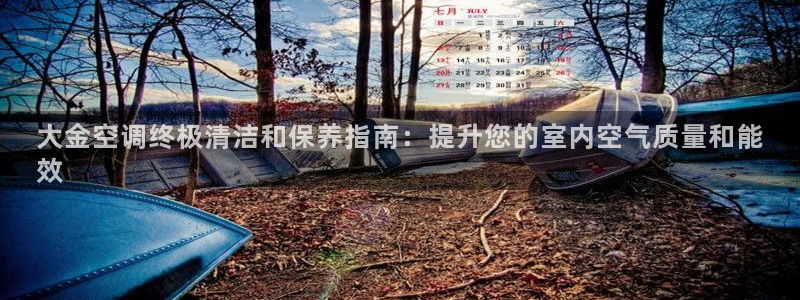 环球360买分一比一
