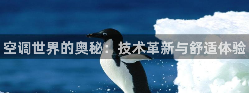 环球360手机版官方网站下载