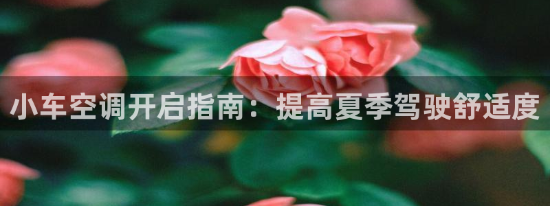 环球360这个娱乐网怎么样