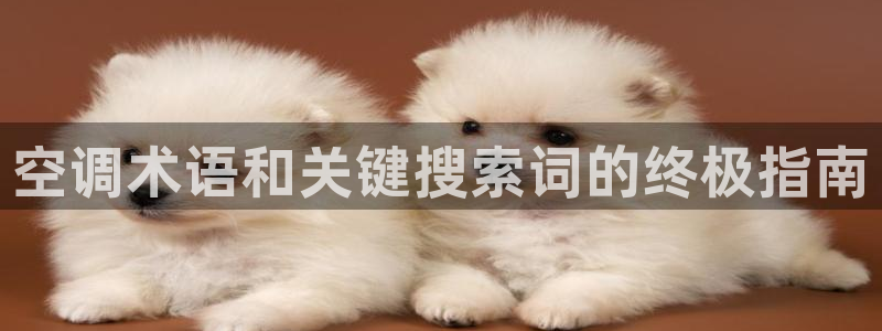 菲律宾环球360注册账号