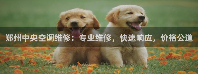 环球360官网手机版下载安装最新版